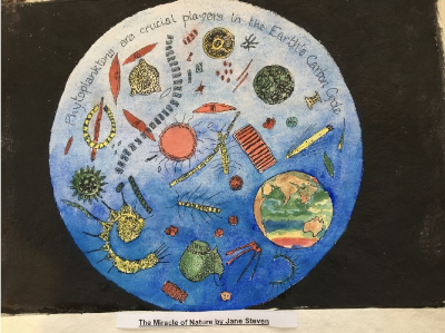 The_Miracle_of_Nature